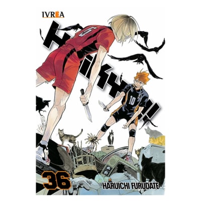 HAIKYU!! # 36 - IVREA ARG1