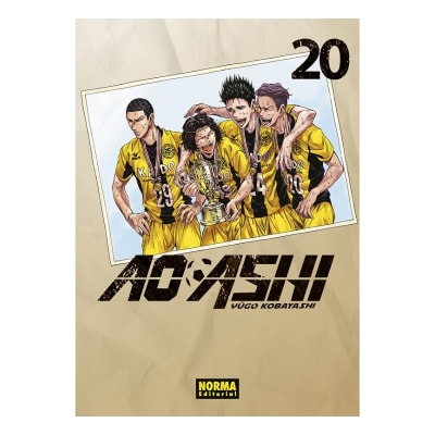 AO ASHI 20 - NORMA EDITORIAL