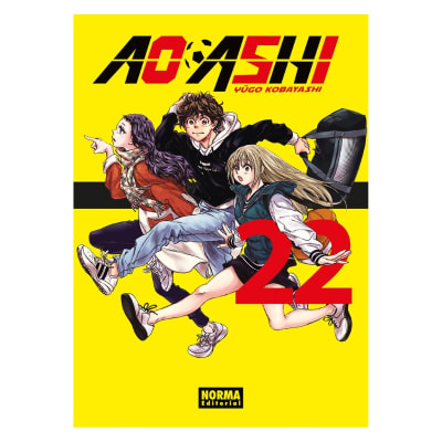AO ASHI 22 - NORMA EDITORIAL1