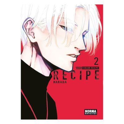 COLOR RECIPE 02 - NORMA EDITORIAL1