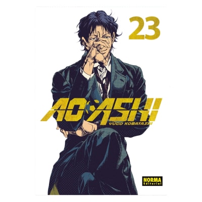 AO ASHI 23 - NORMA EDITORIAL1
