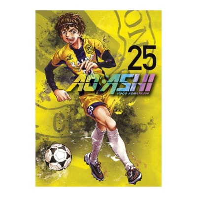 AO ASHI 25 - NORMA EDITORIAL