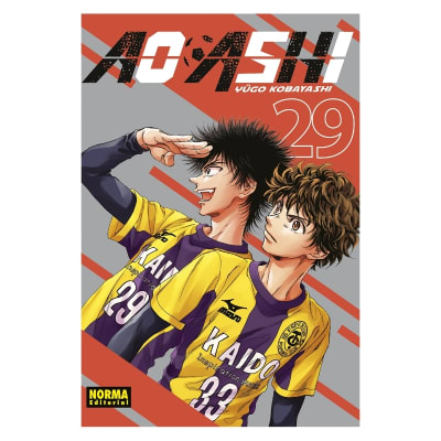 AO ASHI 29 - NORMA EDITORIAL1