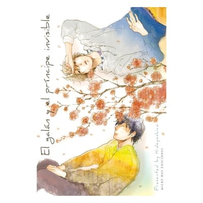 EL GALÁN Y EL PRÍNCIPE INVISIBLE - Milkyway1