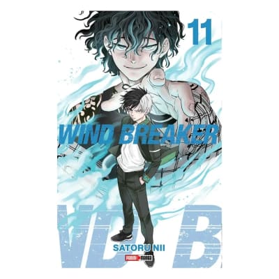 WIND BREAKER 11 - PANINI ARGENTINA1