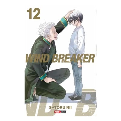 WIND BREAKER 12 - PANINI ARGENTINA1