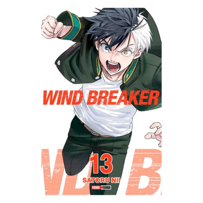 WIND BREAKER 13 - PANINI ARGENTINA1