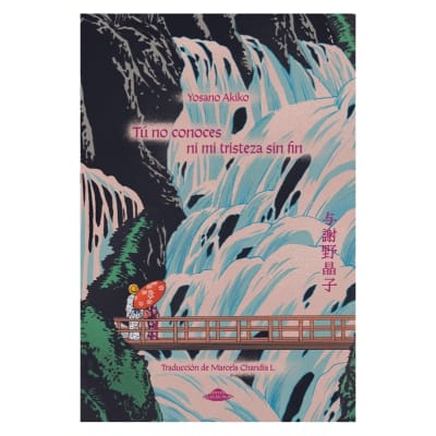 Tú no conoces ni mi tristeza sin fin - Abducción Editorial