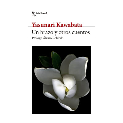 Un brazo y otros cuentos. Edición 2024 - ED PLANETA