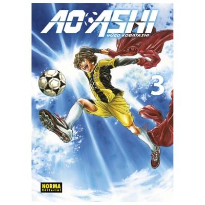 AO ASHI 03 - NORMA EDITORIAL