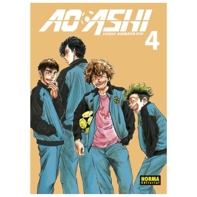 AO ASHI 04 - NORMA EDITORIAL