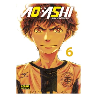 AO ASHI 06 - NORMA EDITORIAL