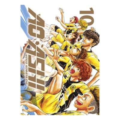 AO ASHI 10 - NORMA EDITORIAL1