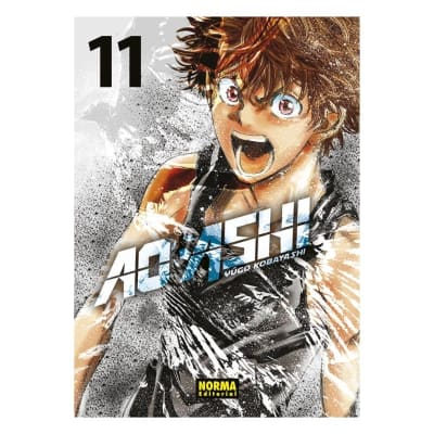 AO ASHI 11 - NORMA EDITORIAL1