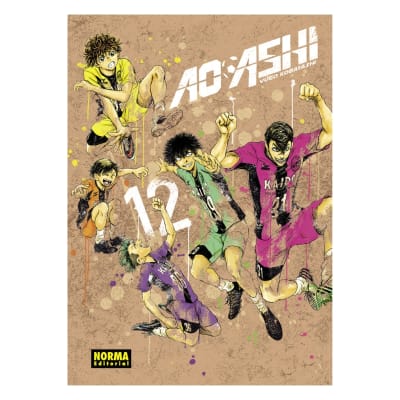 AO ASHI 12 - NORMA EDITORIAL1