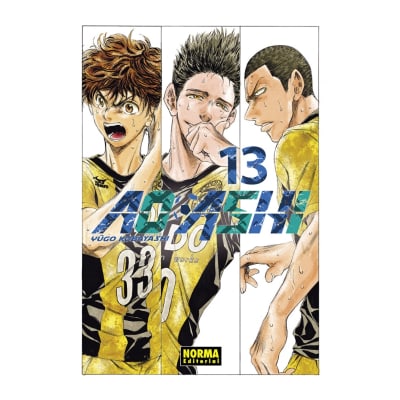 AO ASHI 13 - NORMA EDITORIAL1
