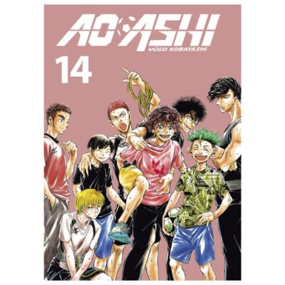 AO ASHI 14 - NORMA EDITORIAL