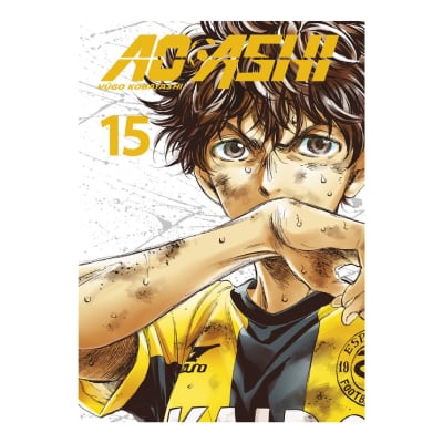 AO ASHI 15 - NORMA EDITORIAL1