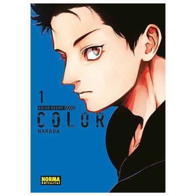 COLOR RECIPE 01 - NORMA EDITORIAL1