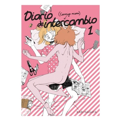 DIARIO DE INTERCAMBIO 01 - FANDOGAMIA