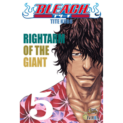 BLEACH 05 - IVREA ARG1