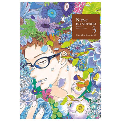 Nieve en verano 03 - TOMODOMO