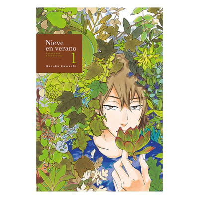Nieve en verano 01 - TOMODOMO