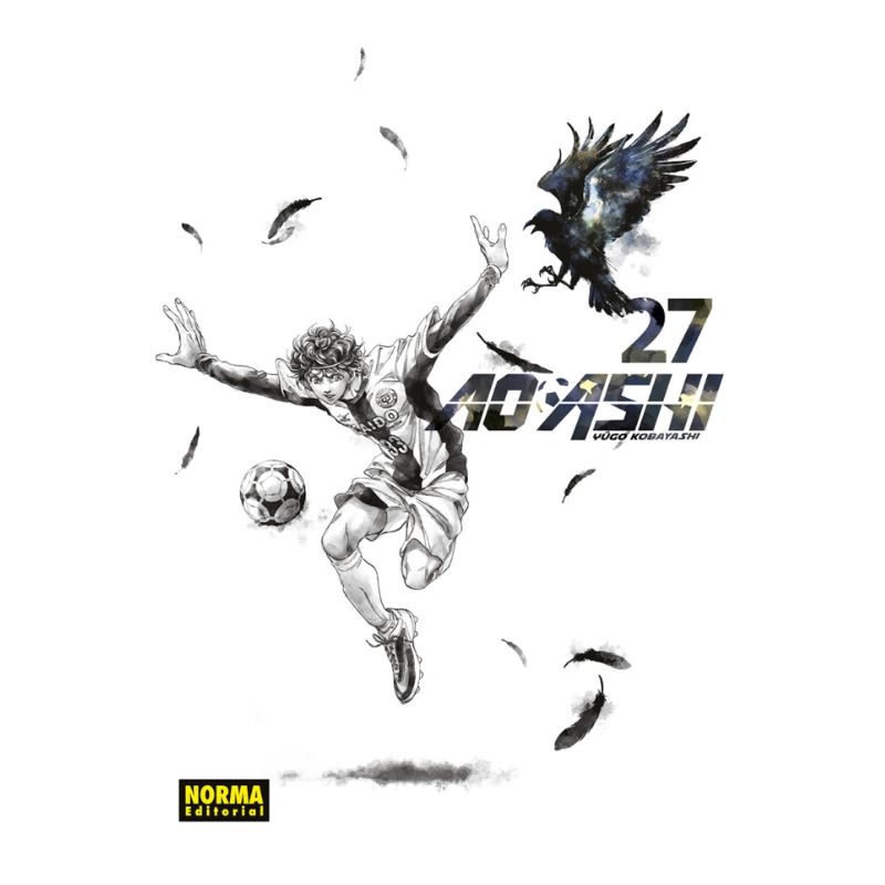 AO ASHI 27 - NORMA EDITORIAL 1