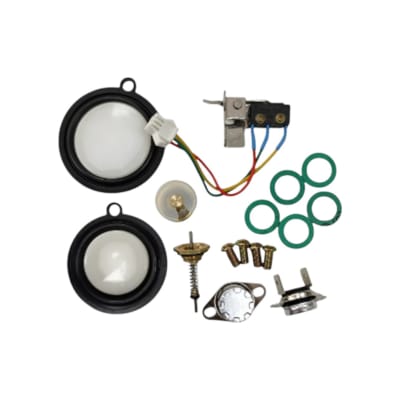 KIT MANTENCION CALEFONT SPLENDID MASTER 2 PERILLAS