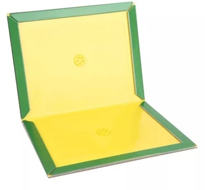 TRAMPA PARA RATON PEGAJOSA CHICA