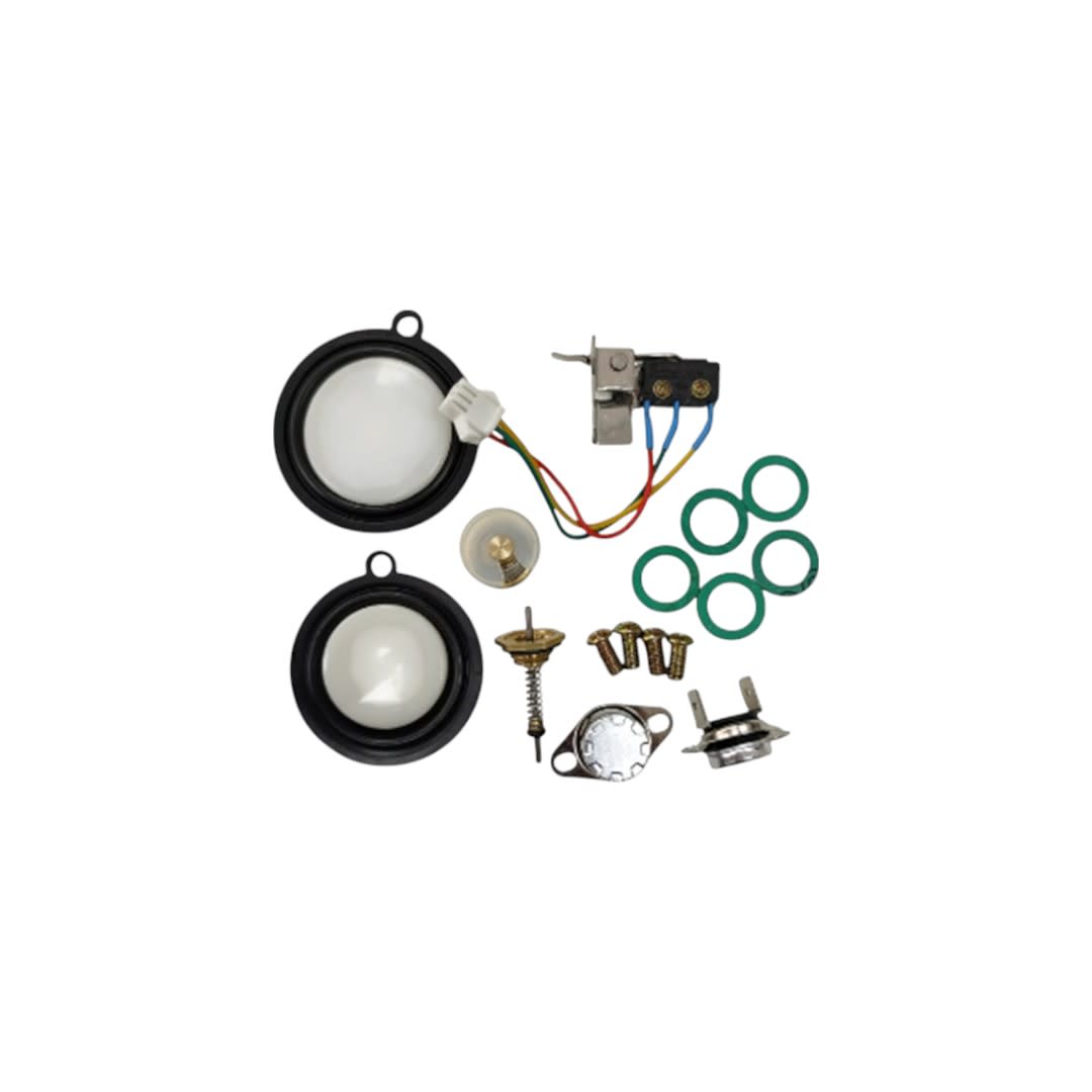 KIT MANTENCION CALEFONT SPLENDID MASTER 2 PERILLAS1