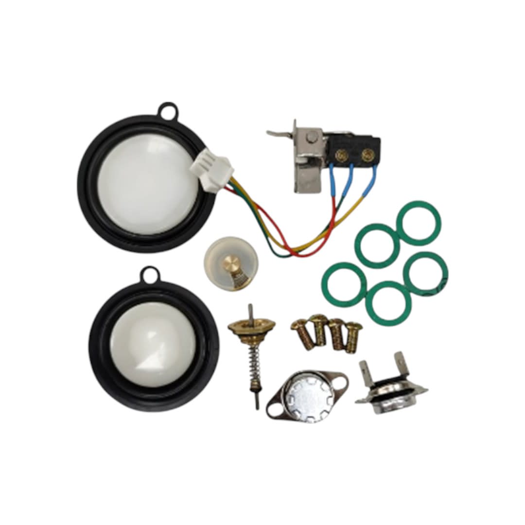 KIT MANTENCION CALEFONT SPLENDID MASTER 2 PERILLAS3