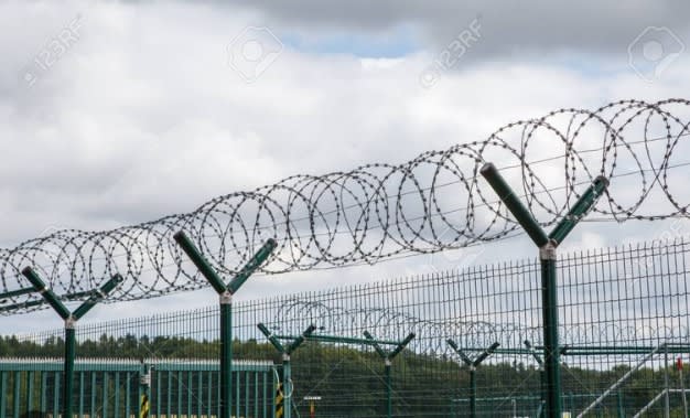 ALAMBRE DE PUAS BWG 16 (ROLLO 500 MTS // 25 KG)2