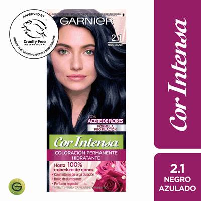 TINTURA GARNIER COR INTENSA 2.1 NEGRO AZULADO 45GR