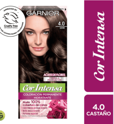 TINTURA GARNIER COR INTENSA 4.0 CASTAÑO 45GR1