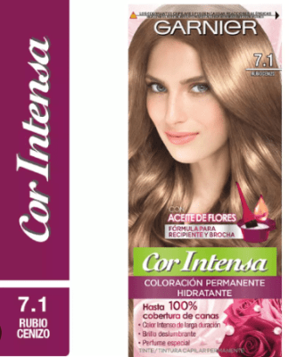 TINTURA GARNIER COR INTENSA 7.1 RUBIO CENIZA 45GR1