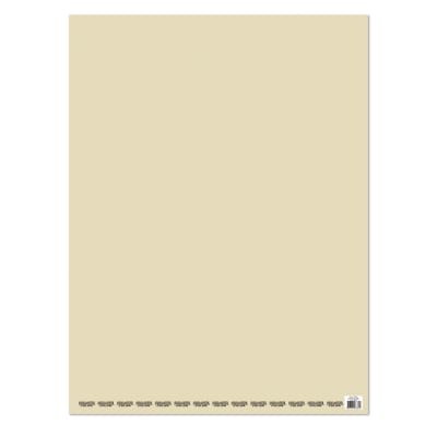 PLIEGO CARTULINA BEIGE PROARTE 53.5 X 75 CM 140 GRS