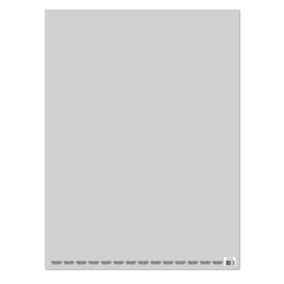 PLIEGO CARTULINA GRIS CLARO PROARTE 53.5 X 75 CM 140 GRS