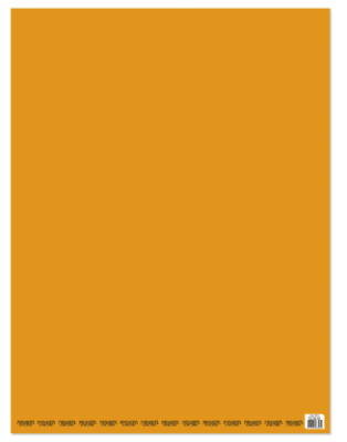 PLIEGO CARTULINA NARANJA PROARTE 53.5 X 75 CM 140 GRS
