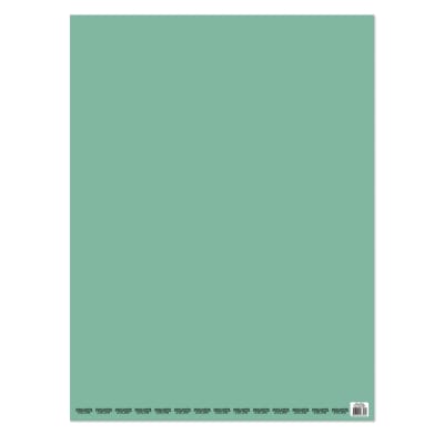 PLIEGO CARTULINA TURQUESA PROARTE 53.5 X 75 CM 140 GRS