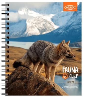 Cuaderno Universitario Artel 100 hojas 7mm animales de chile