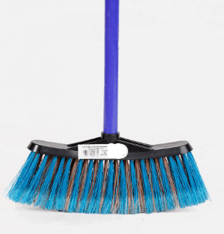 ESCOBILLÓN DOÑA FRESIA1