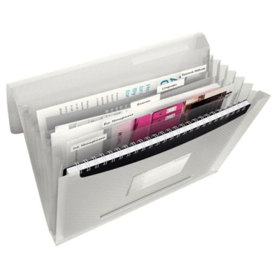 CARPETA ACORDEON 6 DIVICIONES A4 ESSELTLE BLANCO
