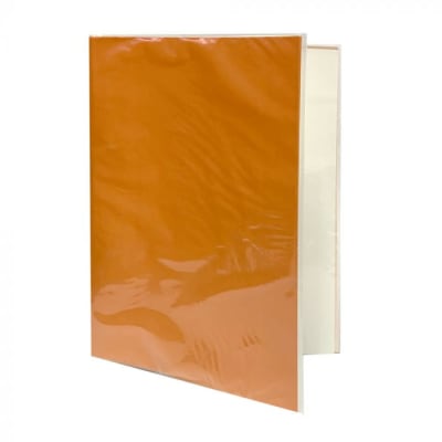 CARPETA PLASTICA CON ARCHIVADOR NARANJO