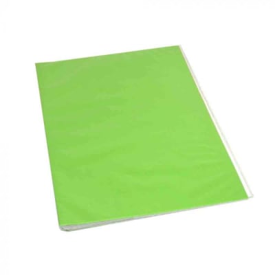 CARPETA PLASTICA CON ARCHIVADOR VERDE CLARO