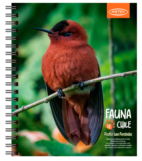 Cuaderno Universitario Artel 100 hojas 7mm animales de chile3