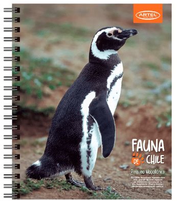 Cuaderno Universitario Artel 100 hojas 7mm animales de chile4