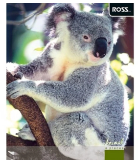 Cuaderno Universitario Ross D/espiral 100 hojas 7mm t/s Animal Places5