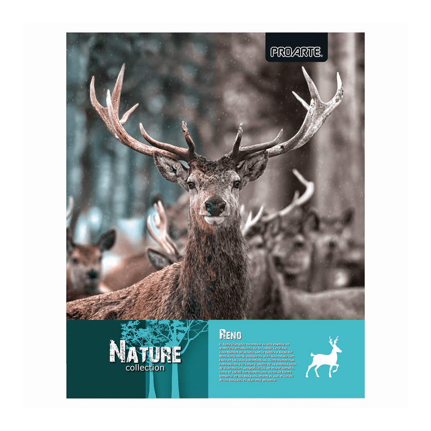 Cuaderno Universitario Proarte 100 hojas 7mm  D/espiral T/extra Dura Nature 0