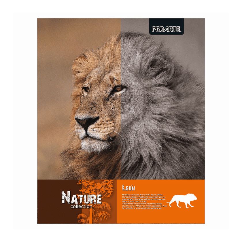 Cuaderno Universitario Proarte 100 hojas 7mm  D/espiral T/extra Dura Nature2